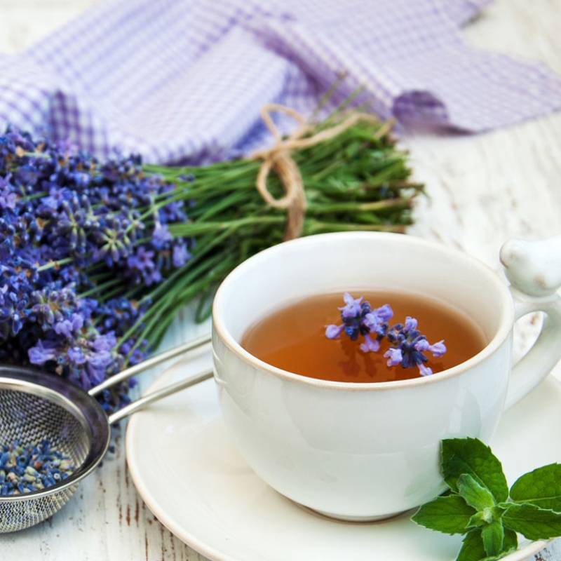 دمنوش اسطوخودوس و بابونه